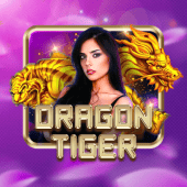 jl48 Dragon Tiger live casino