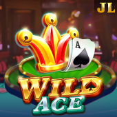 Wild Ace jl48 VIP game